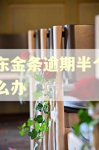 京东金条逾期半个月怎么办