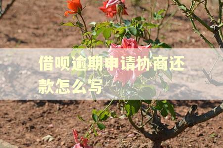 借呗逾期申请协商还款怎么写