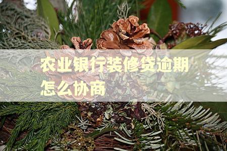 农业银行装修贷逾期怎么协商