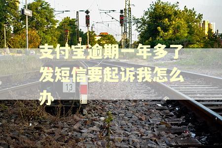 支付宝逾期一年多了发短信要起诉我怎么办