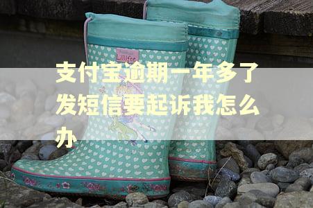 支付宝逾期一年多了发短信要起诉我怎么办