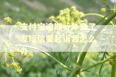 支付宝逾期一年多了发短信要起诉我怎么办