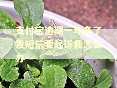 支付宝逾期一年多了发短信要起诉我怎么办