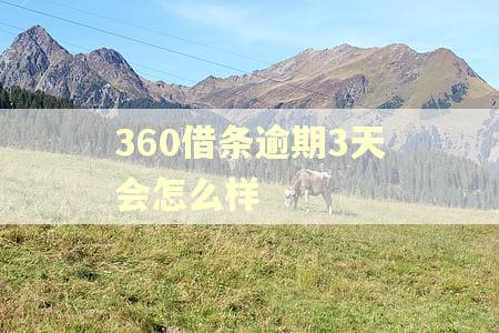 360借条逾期3天会怎么样
