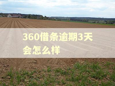 360借条逾期3天会怎么样