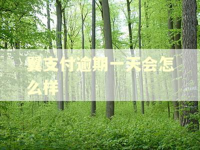 翼支付逾期一天会怎么样