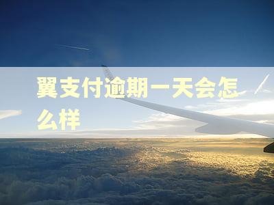 翼支付逾期一天会怎么样