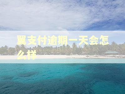 翼支付逾期一天会怎么样