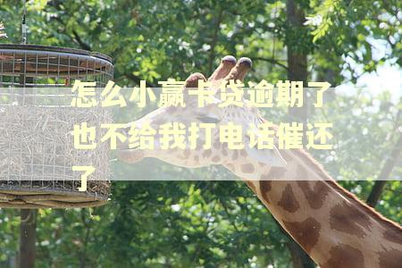 怎么小赢卡贷逾期了也不给我打电话催还了