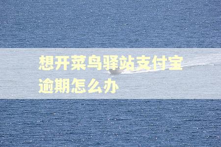 想开菜鸟驿站支付宝逾期怎么办