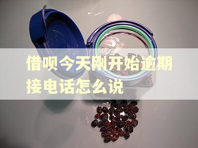 借呗今天刚开始逾期接电话怎么说