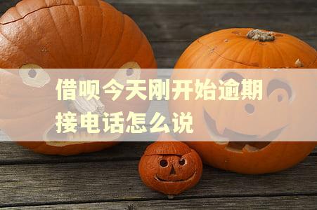借呗今天刚开始逾期接电话怎么说
