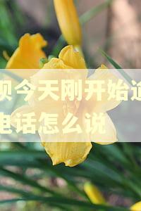 借呗今天刚开始逾期接电话怎么说