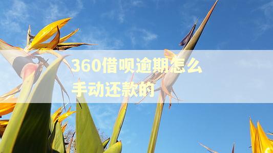 360借呗逾期怎么手动还款的