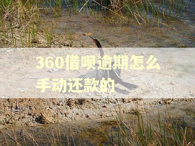 360借呗逾期怎么手动还款的