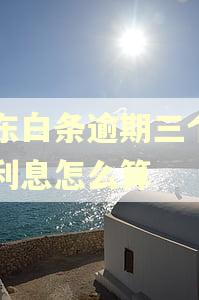 京东白条逾期三个月了利息怎么算