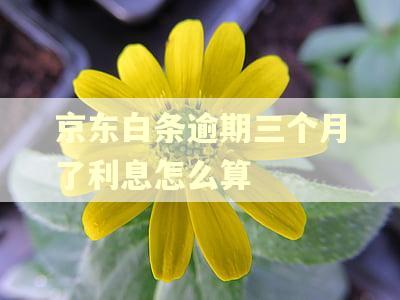 京东白条逾期三个月了利息怎么算