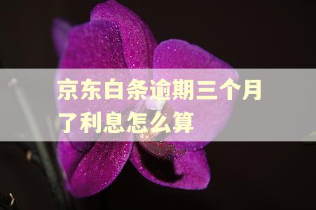 京东白条逾期三个月了利息怎么算