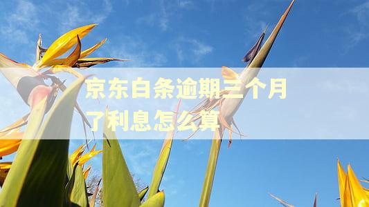 京东白条逾期三个月了利息怎么算
