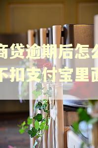 网商贷逾期后怎么才能不扣支付宝里面的钱