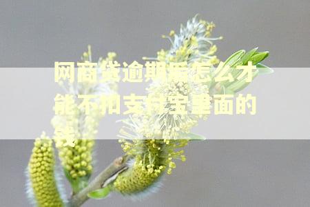 网商贷逾期后怎么才能不扣支付宝里面的钱