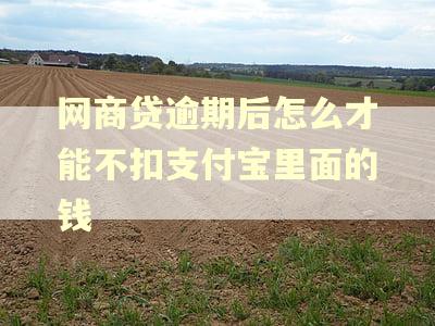 网商贷逾期后怎么才能不扣支付宝里面的钱 网商贷逾期后怎么才能不扣支付宝里面的钱