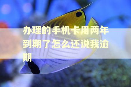 办理的手机卡用两年到期了怎么还说我逾期