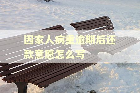 因家人病重逾期后还款意愿怎么写
