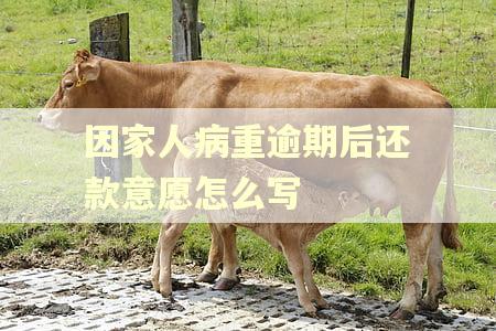 因家人病重逾期后还款意愿怎么写