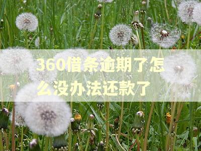 360借条逾期了怎么没办法还款了