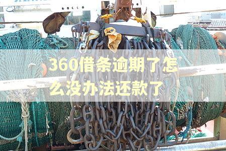 360借条逾期了怎么没办法还款了