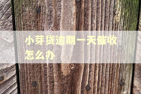 小芽贷逾期一天催收怎么办