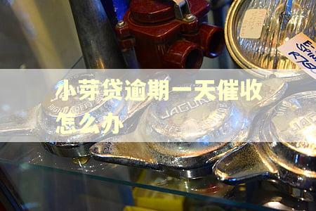 小芽贷逾期一天催收怎么办