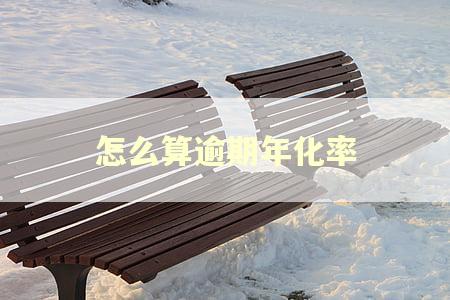 怎么算逾期年化率