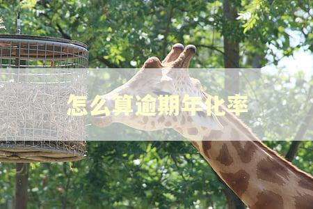 怎么算逾期年化率
