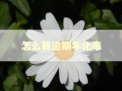 怎么算逾期年化率 怎么算逾期年化率