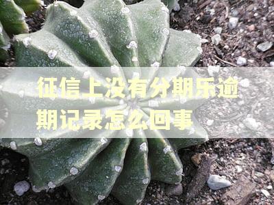 征信上没有分期乐逾期记录怎么回事