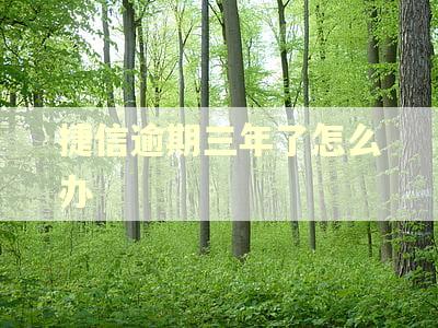 捷信逾期三年了怎么办