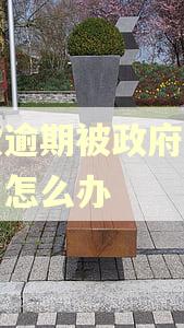 贷款逾期被政府清收办了怎么办 贷款逾期被政府清收办了怎么办