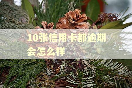 10张信用卡都逾期会怎么样