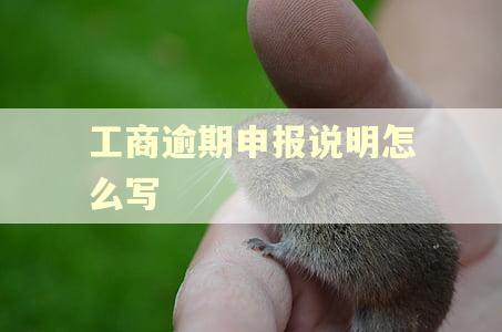 工商逾期申报说明怎么写