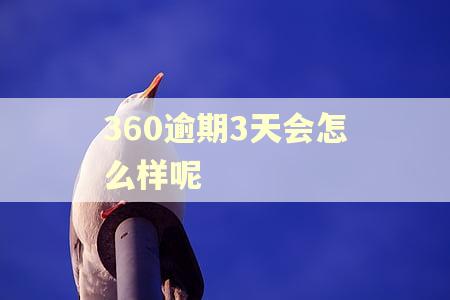 360逾期3天会怎么样呢