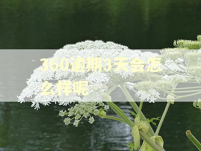 360逾期3天会怎么样呢
