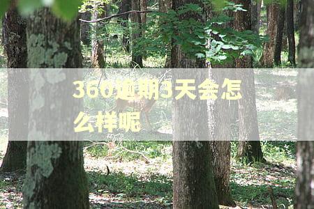 360逾期3天会怎么样呢 360逾期3天会怎么样呢