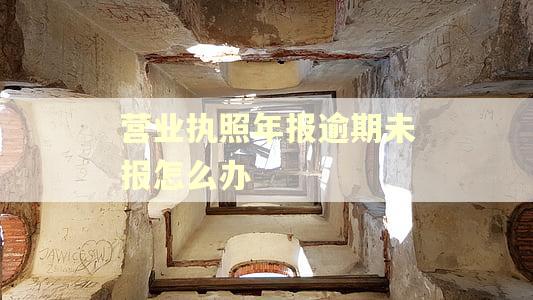 营业执照年报逾期未报怎么办