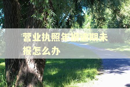 营业执照年报逾期未报怎么办