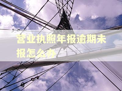 营业执照年报逾期未报怎么办 营业执照年报逾期未报怎么办