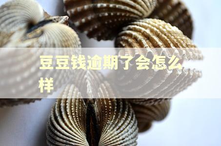 豆豆钱逾期了会怎么样
