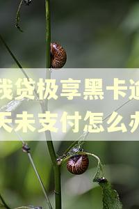 你我贷极享黑卡逾期一天未支付怎么办