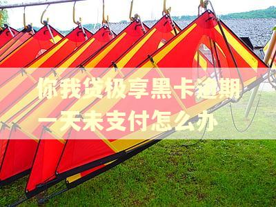 你我贷极享黑卡逾期一天未支付怎么办